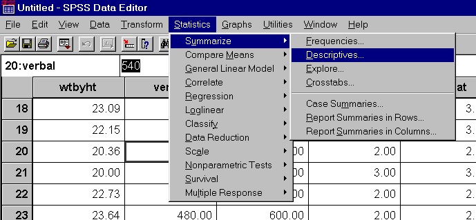 spss1.jpg (70410 bytes)