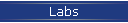 Labs